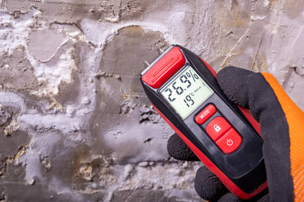 Best Mold Testing and Removal  in Fort Bliss, TX