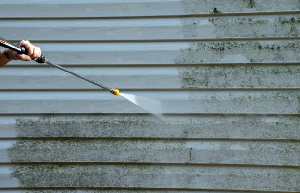 Mold Removal Process in Fort Bliss, TX