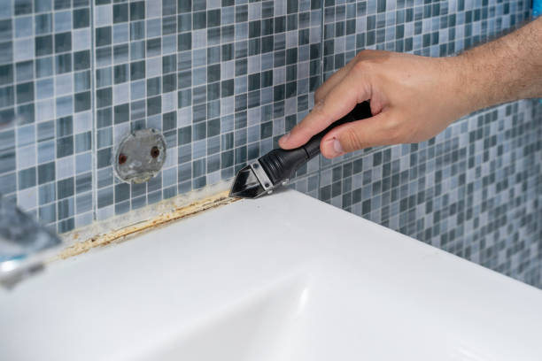 Professional Mold Removal in Fort Bliss, TX
