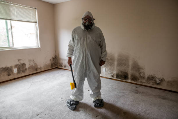 Best Crawl Space Mold Removal  in Fort Bliss, TX